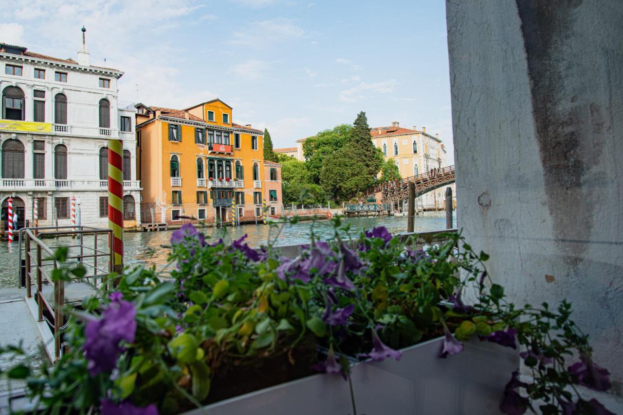 Luxury On The Gran Canal With Wonderful View Venedig